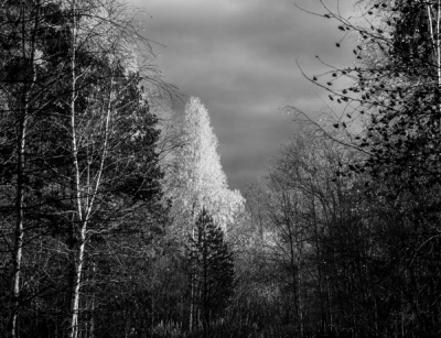 Сердце осени