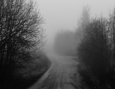 Туманная тропа