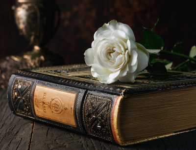 Книга и роза